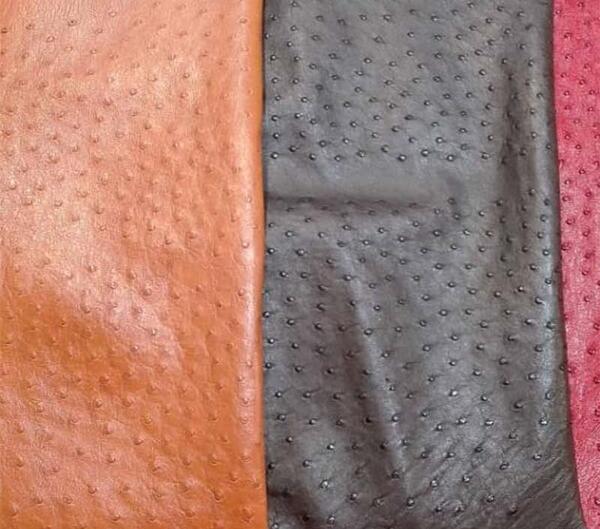 عکس چرم شترمرغ