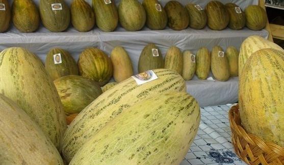 عکس های خربزه افغانستان