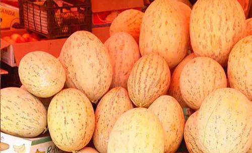 عکس های خربزه افغانستان