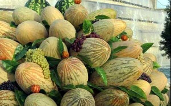 عکس های خربزه افغانستان