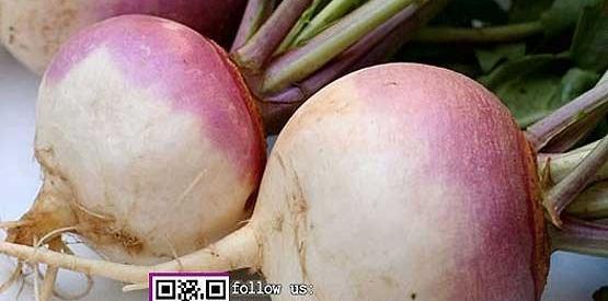 عکس شلغم آب پز
