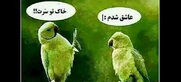 عکس عاشق شدم