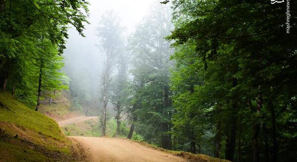 عکسهای زیبای طبیعت گیلان