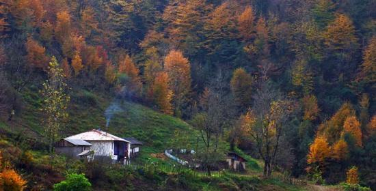 عکسهای زیبای طبیعت گیلان