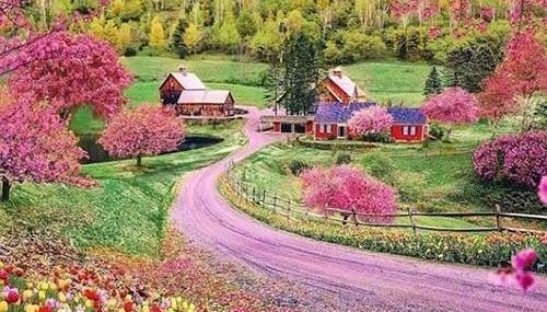 عکس طبیعت واقعی برای پروفایل
