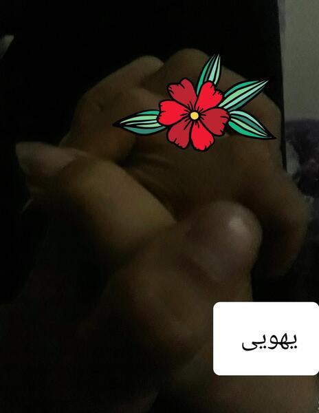 عکس همسرم نی نی سایت