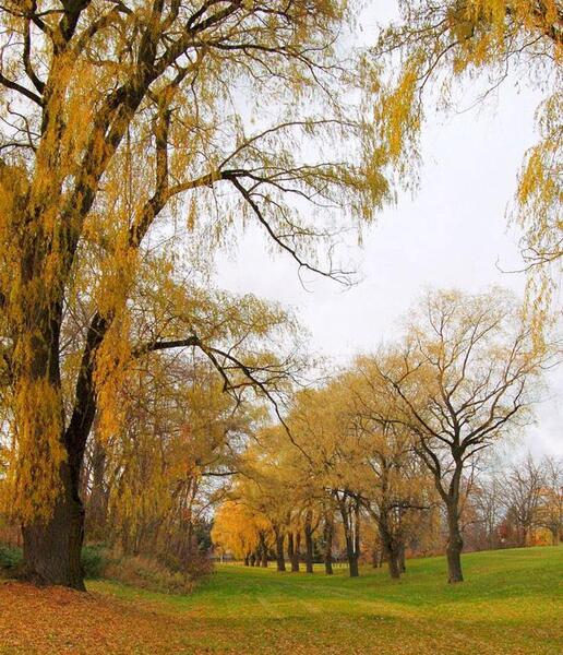 عکس زیبای متحرک طبیعت