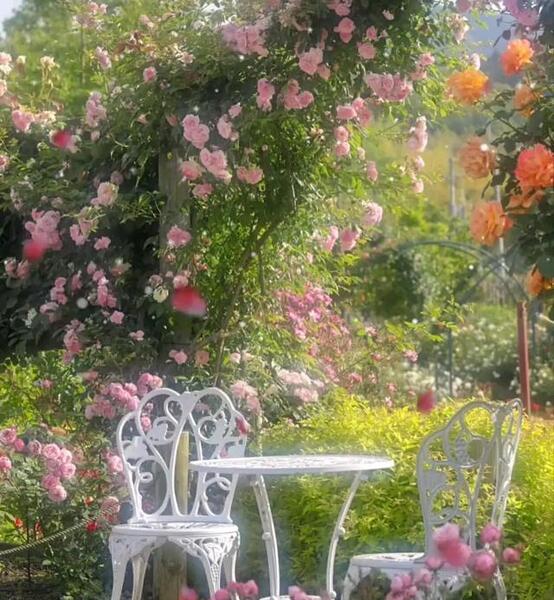 عکس زیبای متحرک طبیعت