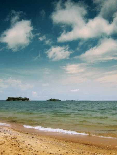 عکس زیبای متحرک طبیعت
