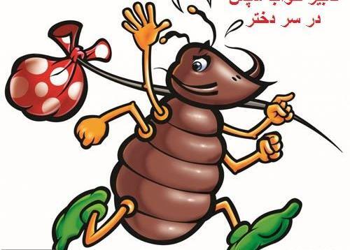 عکس صورت شپش