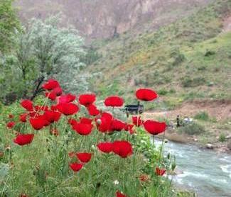 عکس روستا قشنگ
