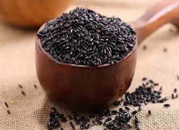 عکس جوانه سیاه دانه