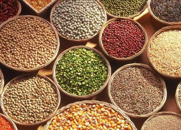 عکس حبوبات آش رشته
