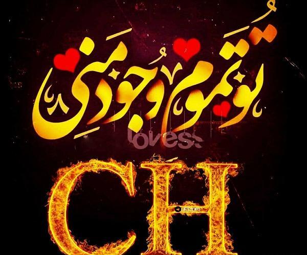 عاشقانه پروفایل عکس های زیبا از حرف t
