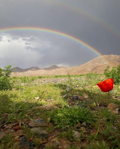 عکس رنگین کمان در طبیعت