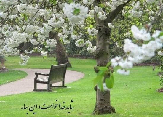 عکس بهاری جدید