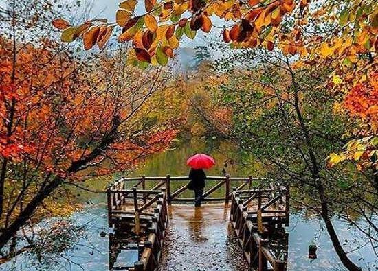عکس منظره برا پروفایل