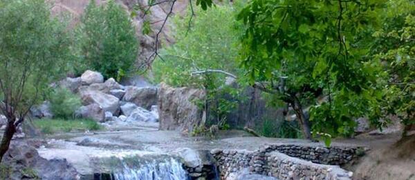 عکس از طبیعت کاشمر
