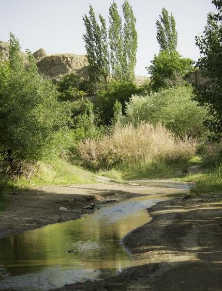 عکس از طبیعت کاشمر