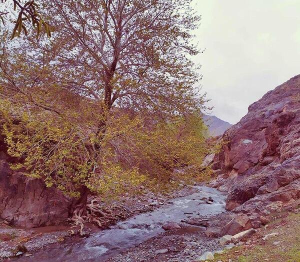 عکس از طبیعت کاشمر
