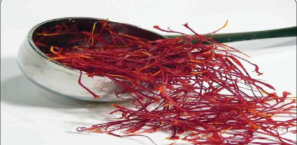 عکس زعفران تقلبی