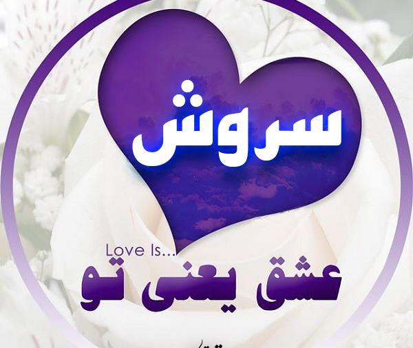 عکس زیبا برای پروفایل سروش