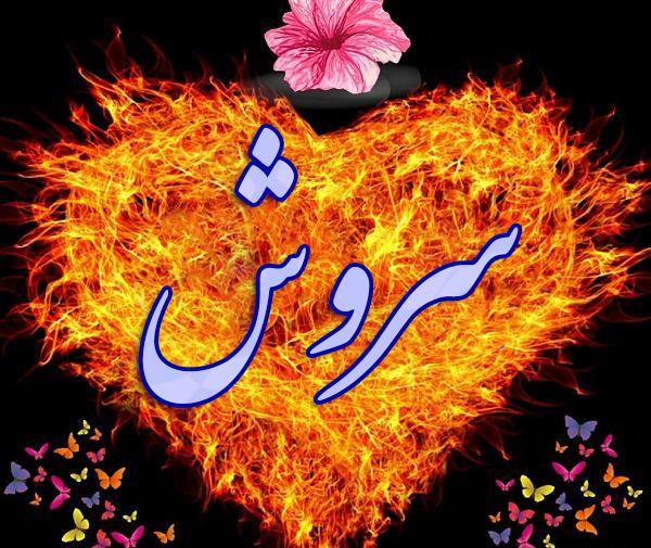 عکس زیبا برای پروفایل سروش
