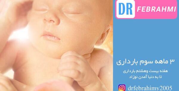 عکس نوزاد سه ماهه در شکم مادر