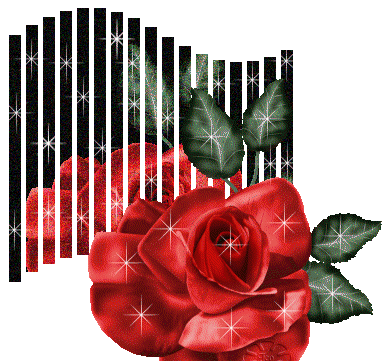 عکس های متحرک گل مریم