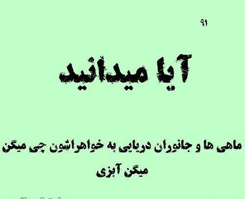 عکس نوشته دایرکت نیا