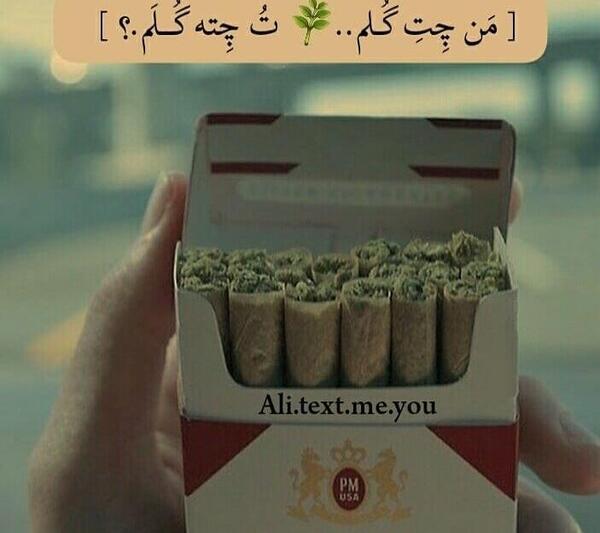 عکس نوشته من چت گلم تو چته گلم
