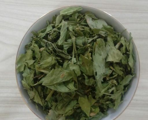 دانلود عکس کرفس کوهی