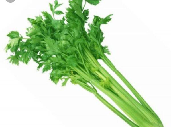 عکس کرفس رنگی