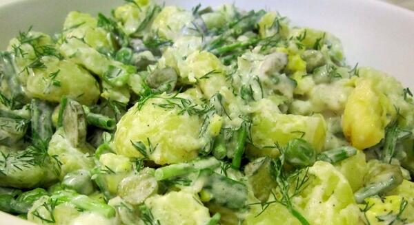 عکس سالاد کرفس
