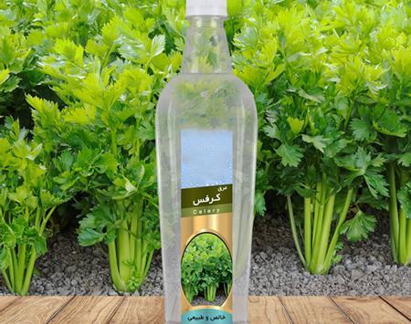 عکس عرق کرفس