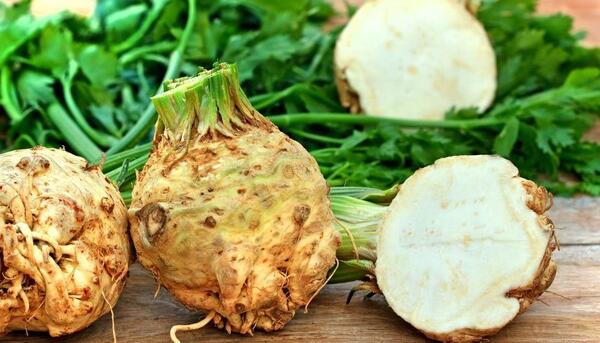 عکس گیاه کرفس وحشی