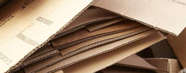عکس ضایعات کتاب