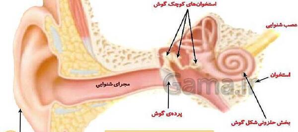 عکس کتاب علوم پنجم
