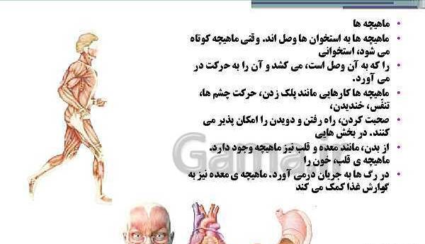 عکس کتاب علوم پنجم