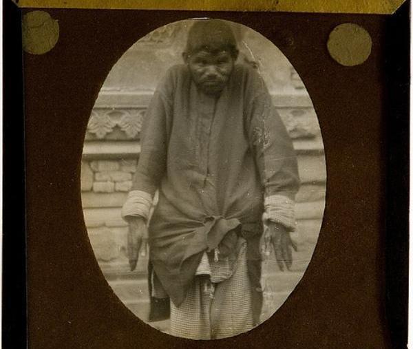 عکس گرگ عجیب