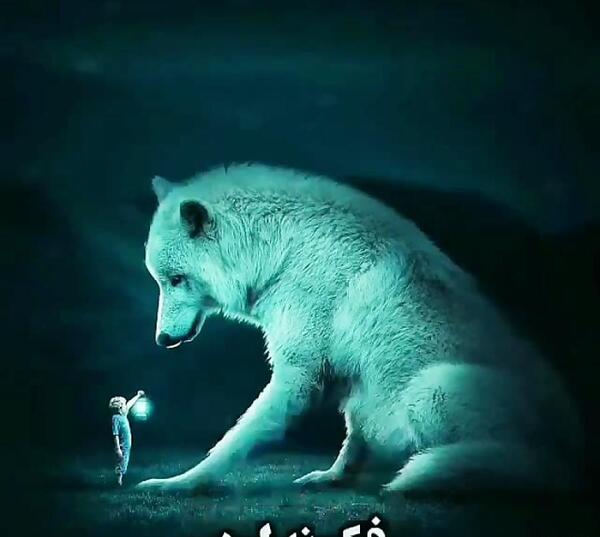 عکس گرگ غمگین