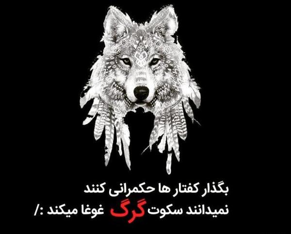 عکس گرگ غمگین
