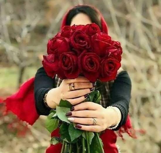 عکس گل رز برای پروفایل