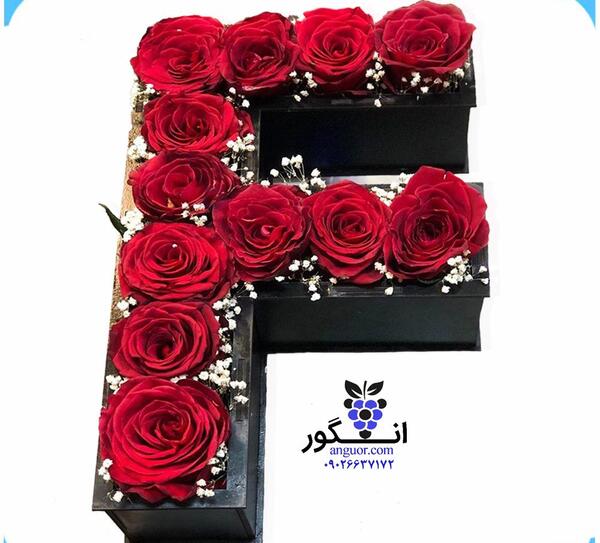 عکس گل رز جیگری