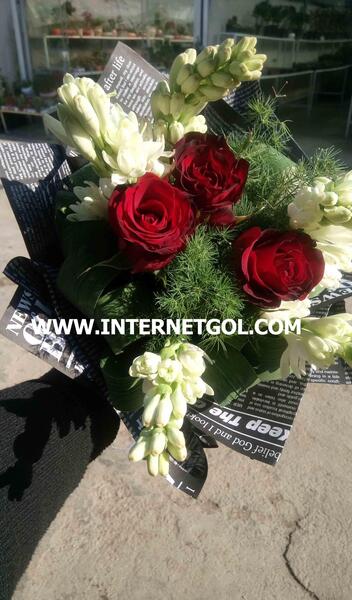 عکس گل رز جیگری
