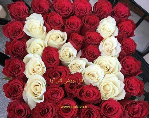 عکس گل رز حرف a