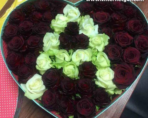 عکس گل رز حرف a