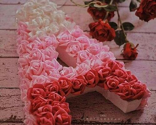 عکس گل رز حرف a