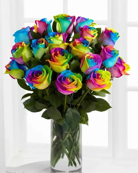 عکس گل رز رنگی برای پروفایل
