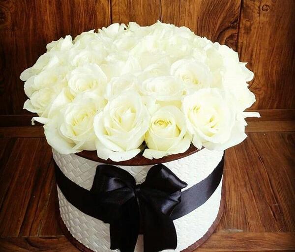 عکس گل رز سفید عاشقانه